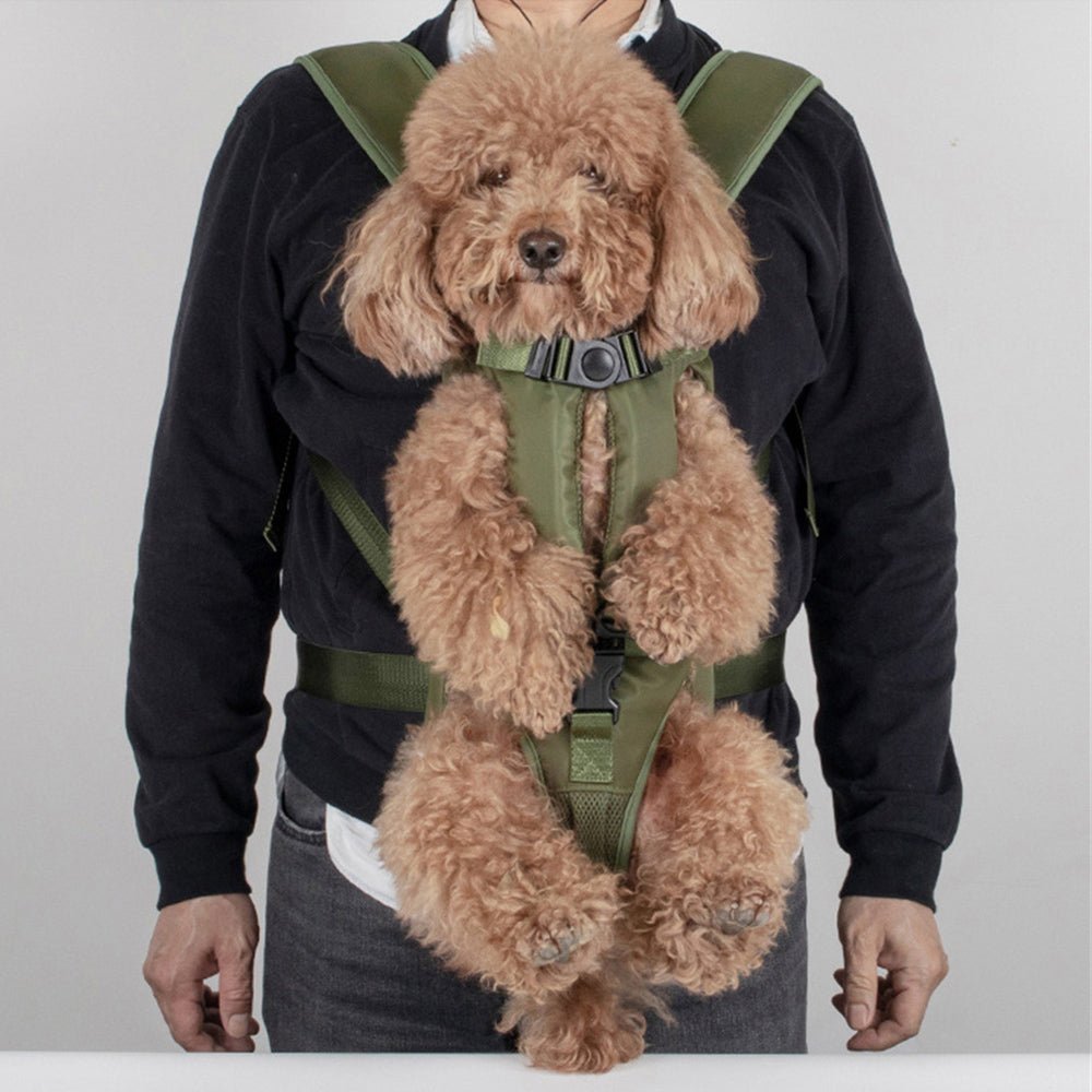 Dog Backpack Green - Merry Puppy