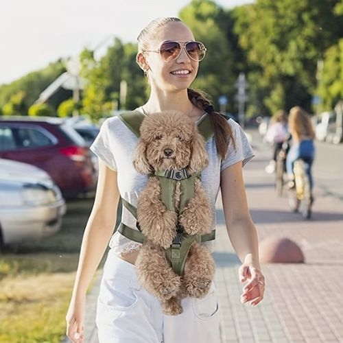 Dog Backpack Green - Merry Puppy