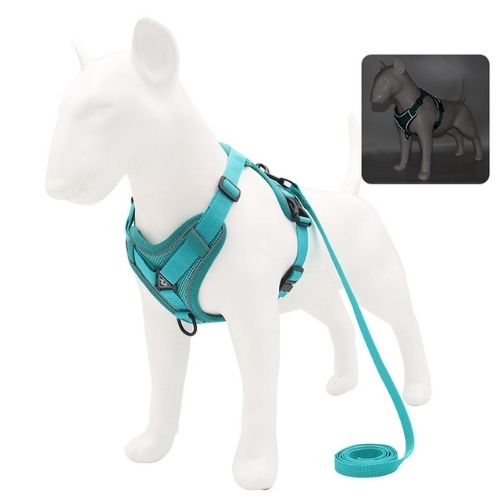 dog harness skyblue