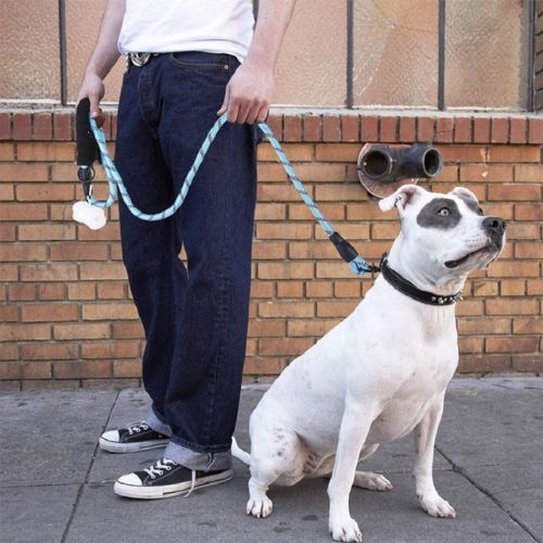 dog lead owner and his dog