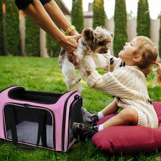 Pet Carrier - Merry Puppy