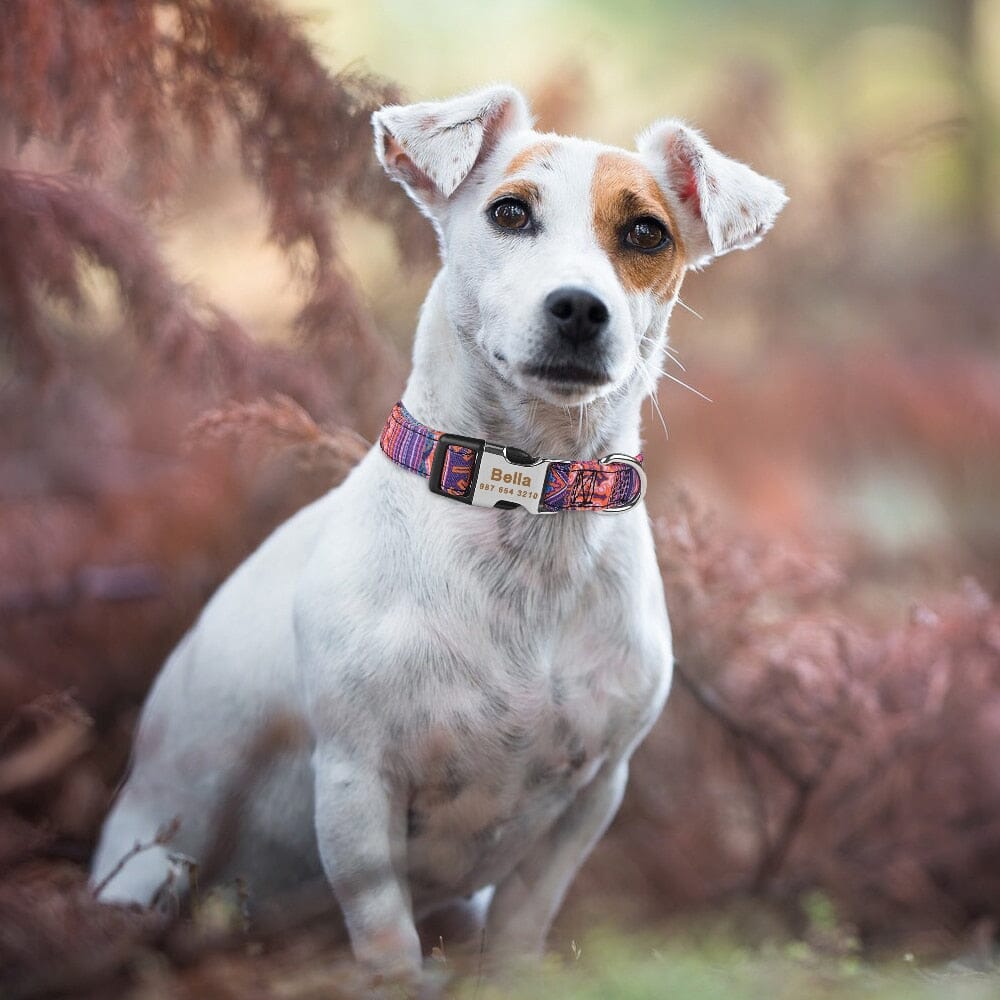AdjustableDogCollar™ - Merry Puppy