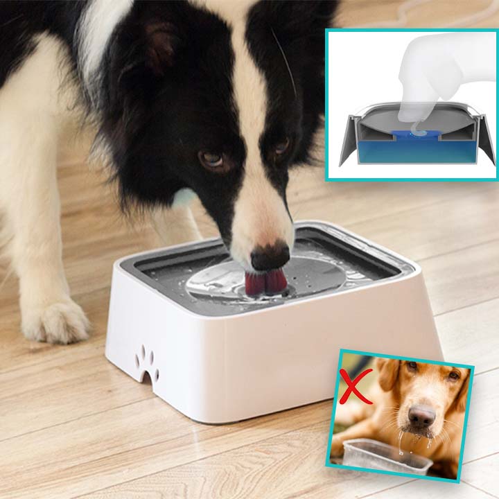 DRINKING WATER SPILL-FREE BOWL - 1.5 L - Merry Puppy