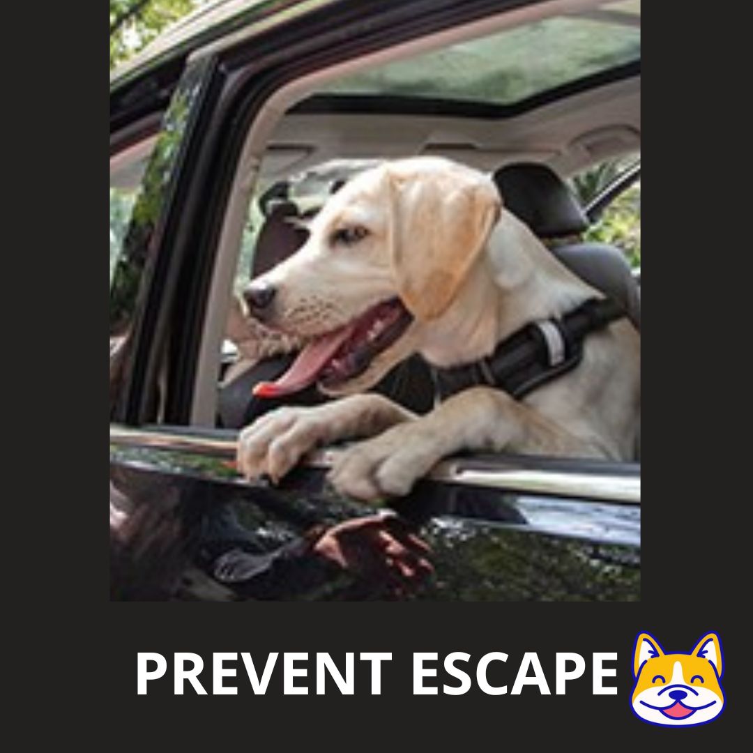 SafetyBelt™ - Merry Puppy