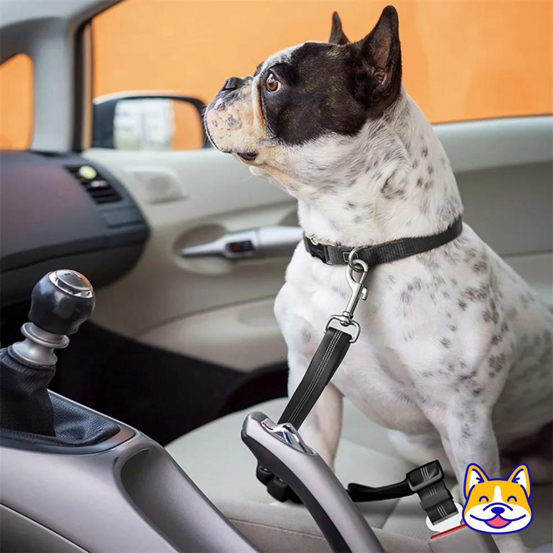 SafetyBelt™ - Merry Puppy