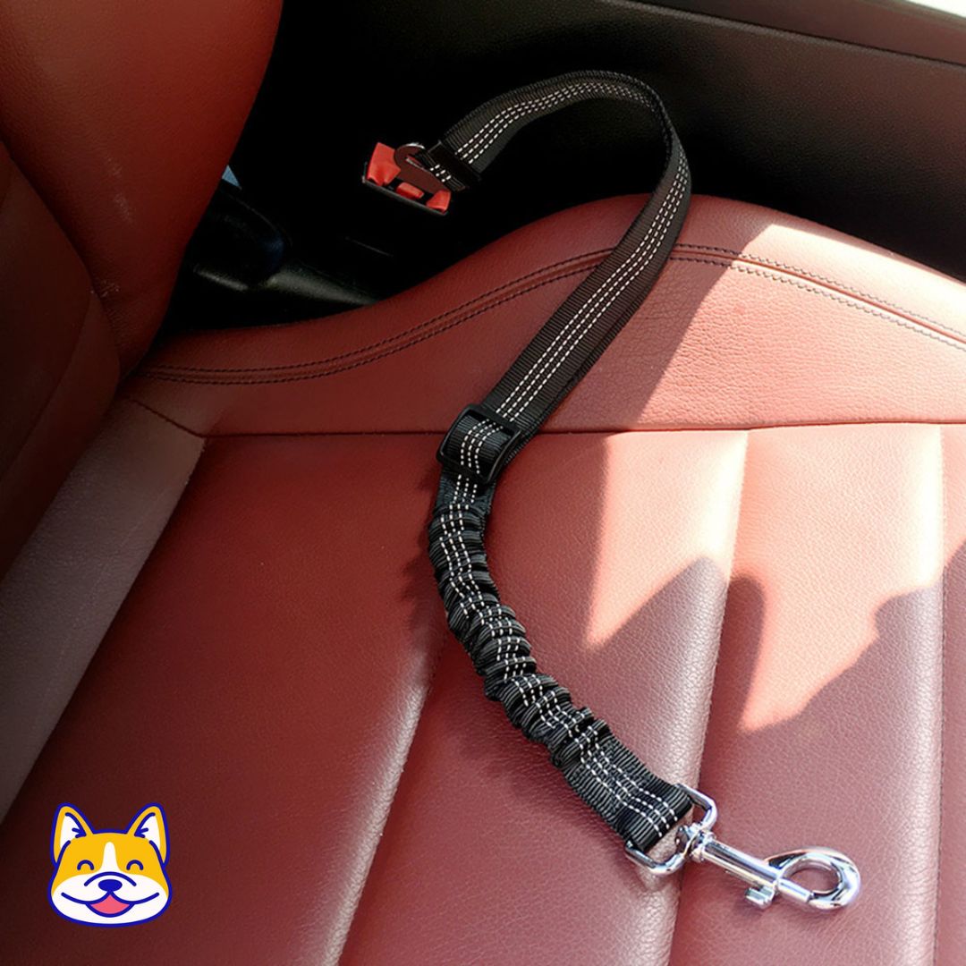 SafetyBelt™ - Merry Puppy