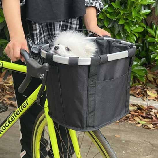 bicycle dog carrier dog with his owner