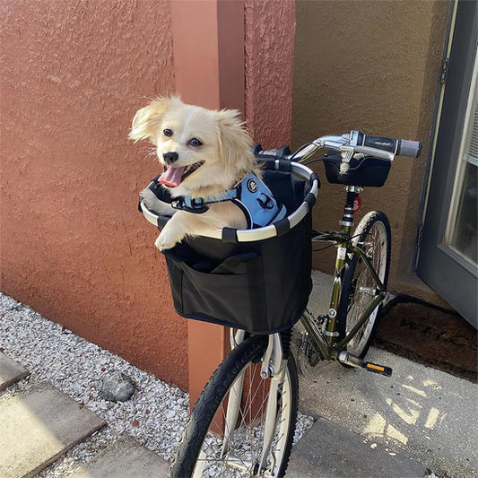 bicycle dog carrier with dog inside