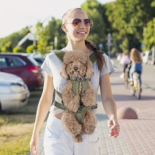 Dog Backpack Green™ - Merry Puppy