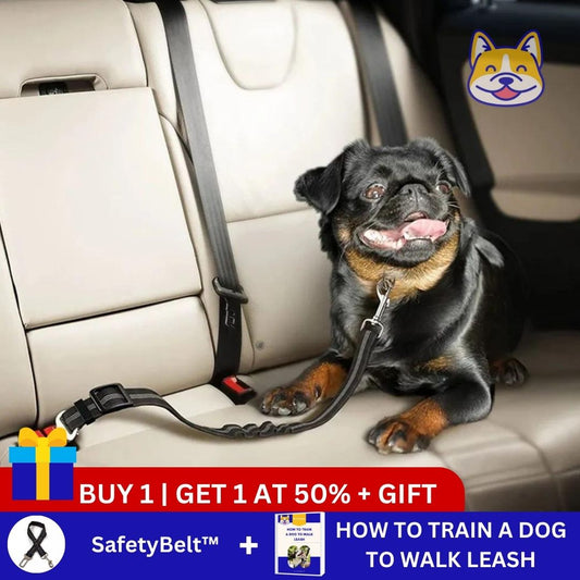 SafetyBelt™ - Safety leash for dog in the car - Merry Puppy